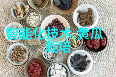 114大但人文艺术我在这里追逐那些不为数码世界喧嚣所扰的灵魂空间