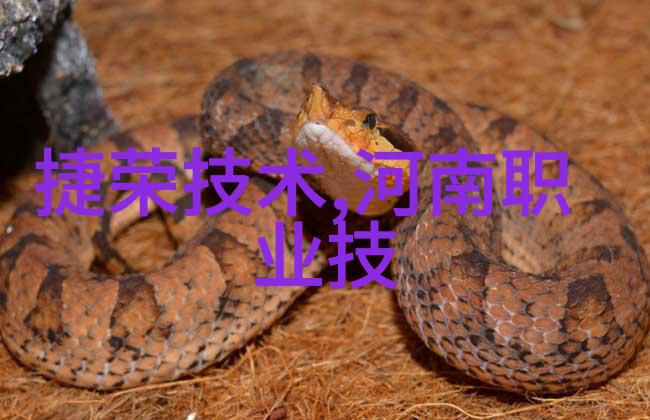 智能化学会最新动态探讨