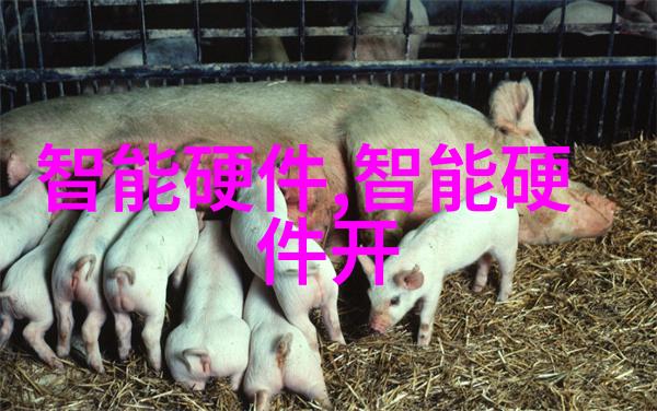 专业技术资格证书种类概述