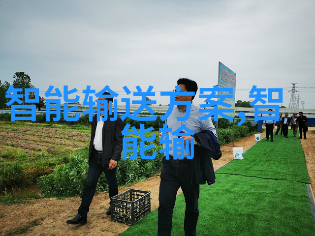 芯片有几层我来告诉你一层到底是啥样
