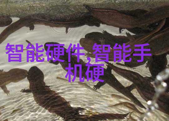 蒸发的乐趣旋转蒸发仪的幽默冒险