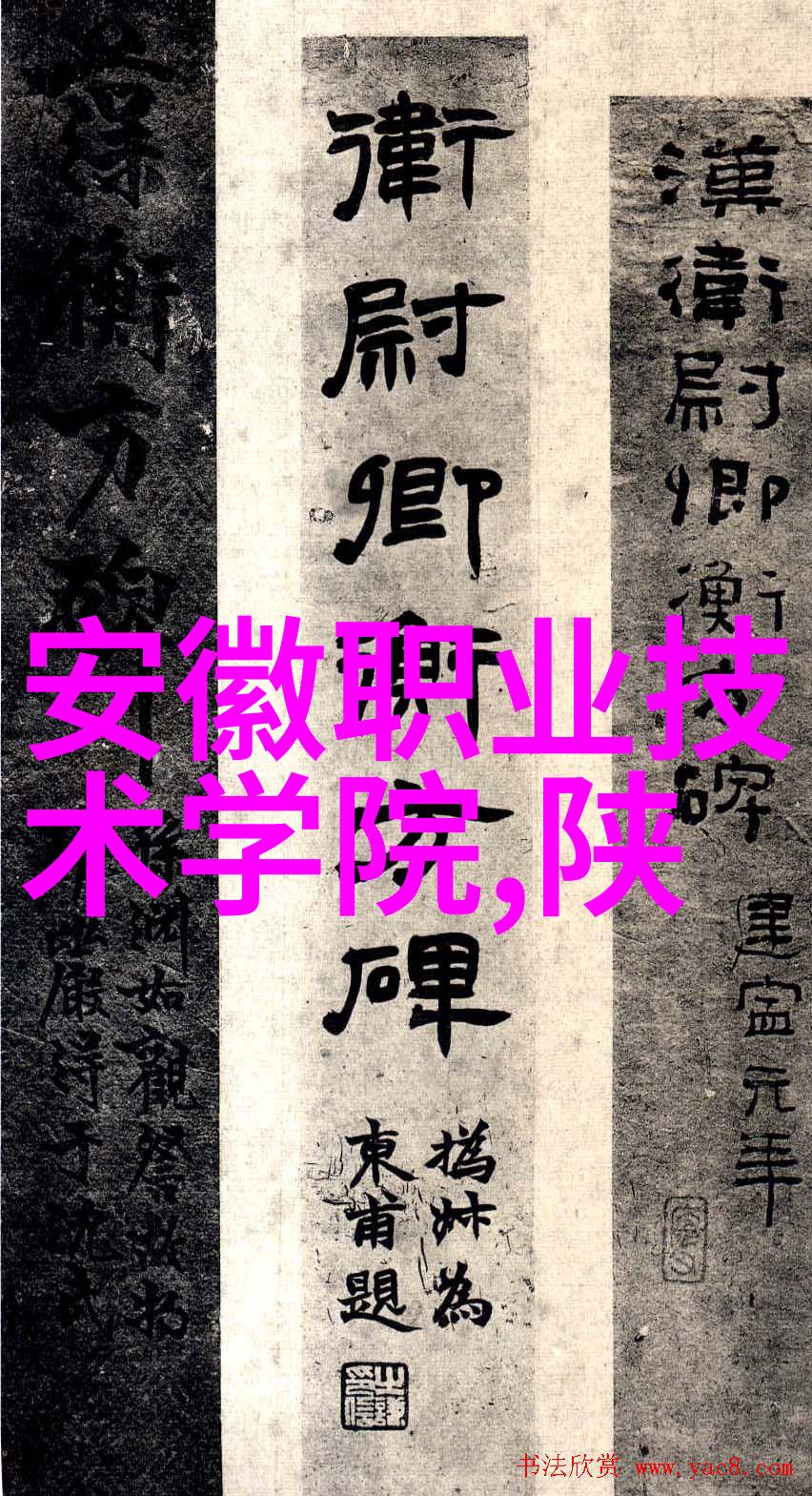 广西财经学院官网我在这儿找到了学费信息