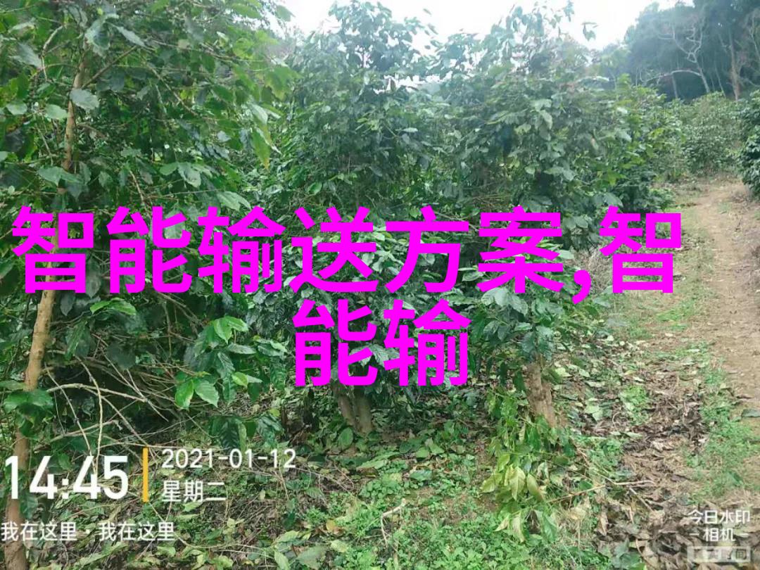 宋代海上丝绸之路波斯湾航行的奇遇宋起波斯湾的传奇故事txt下载