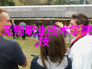 中国十大芯片企业股票代码-揭秘芯片产业的资本脉络