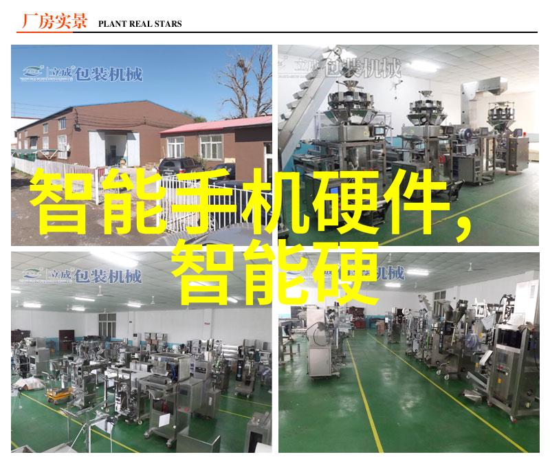 中国芯片惊天骗局背后的阴谋与科技的未来