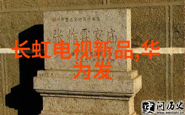 更坚固更耐用松下出品新款GPS相机