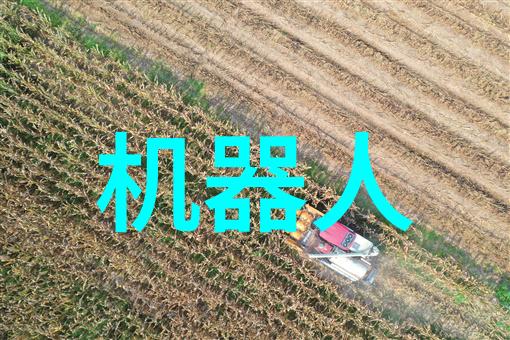 西南财经大学研究生院对未来的发展规划是什么有什么新的亮点
