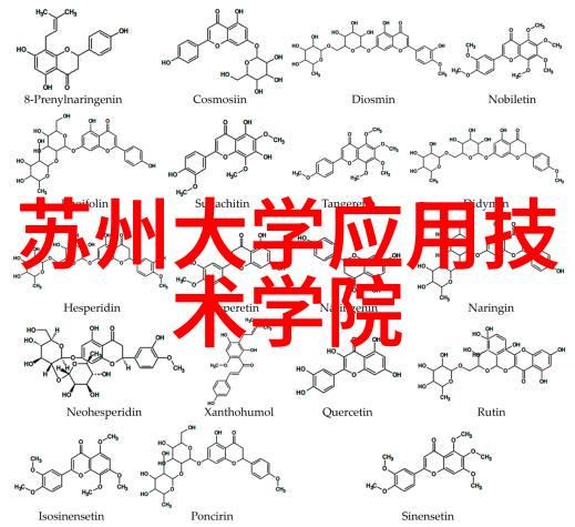 高效率带式干燥机在食品加工中的应用与优势