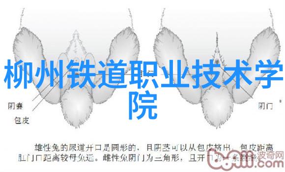 成都航空职业技术学院智能家居安全摄像头最佳安装场所解析