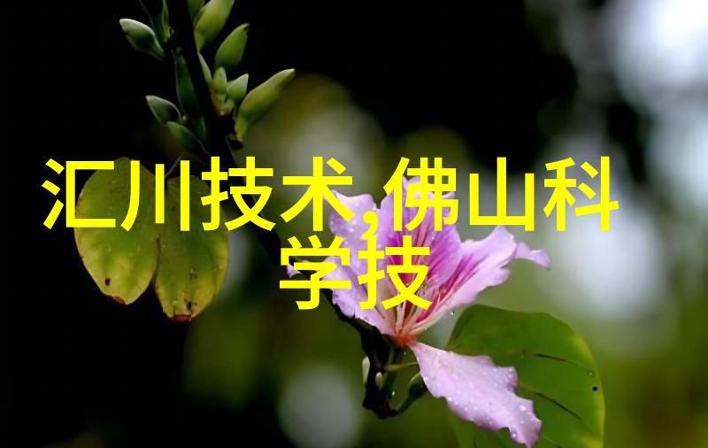 人才素养测评-提升卓越探索全面素质的评估体系