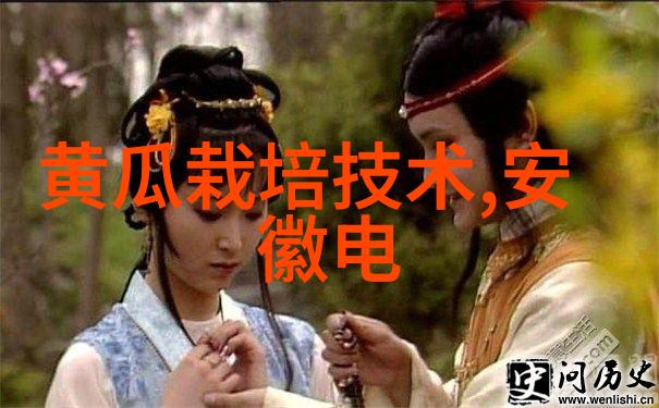 双生奇缘一前一后的甜蜜夹心秘密