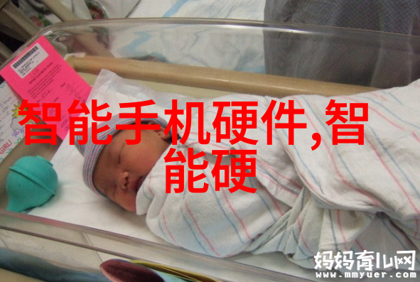 长春财经学院与国际金融市场的联系之旅