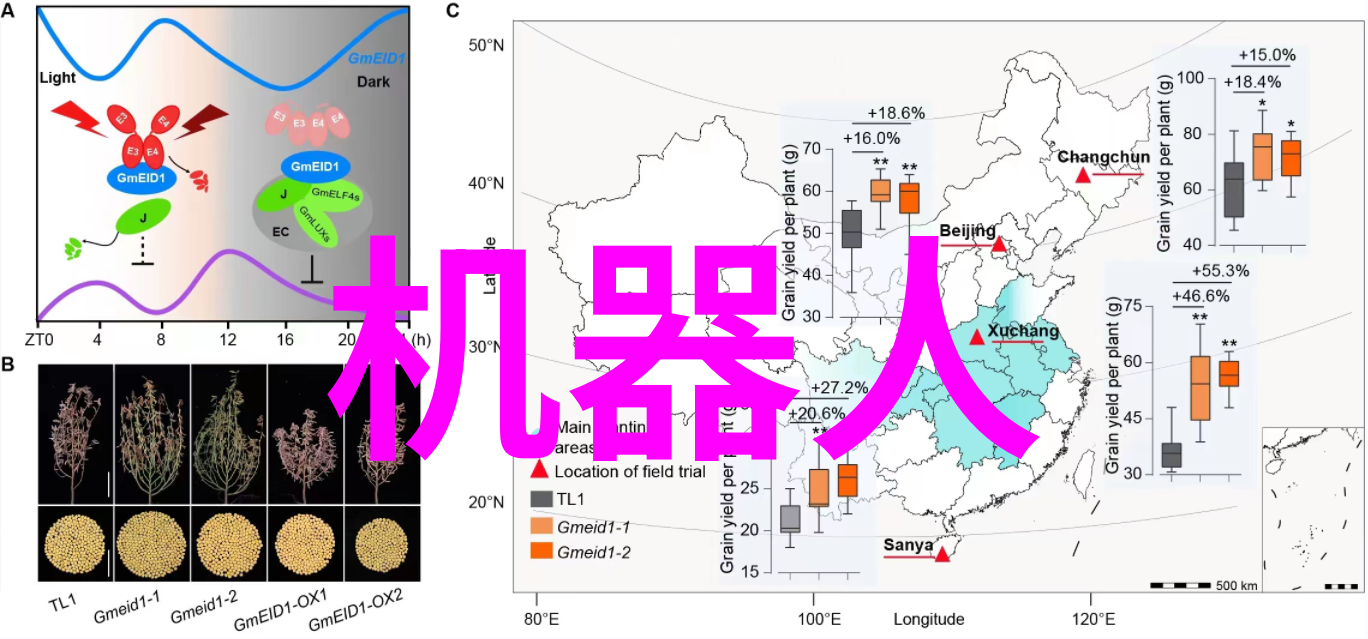 智能仪表资讯技术革新与应用前景