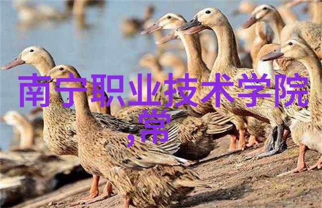 南宁职业技术学院我在这里找到了属于自己的技能宝库