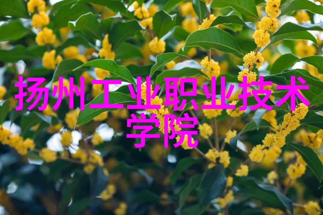 纱线与瓷器的差异探究丝网填料与陶瓷填料的秘密世界