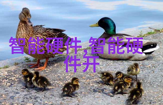 花落知多少梦境中的凋零与醒世的悠长