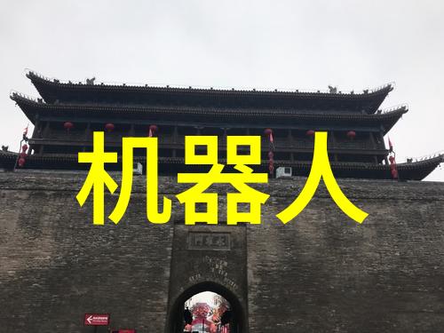 智慧之镜揭秘无价的职业指南