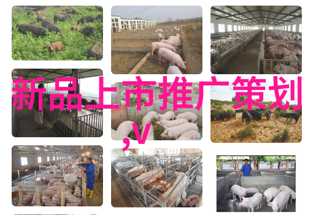 二手分散机设备转让信息我的老朋友要卖了