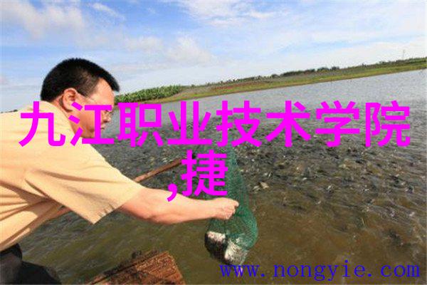 草莓男孩的逆袭之旅