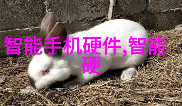 探索晶世界奇幻与魔法的交响曲