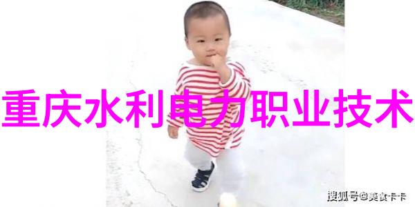电加热蒸汽发生器安装与维护指南