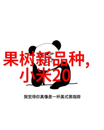 星期三的会议讨论了哪些关键问题