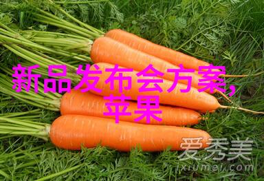 雷蒙机磨碎梦想的旋转巨轮