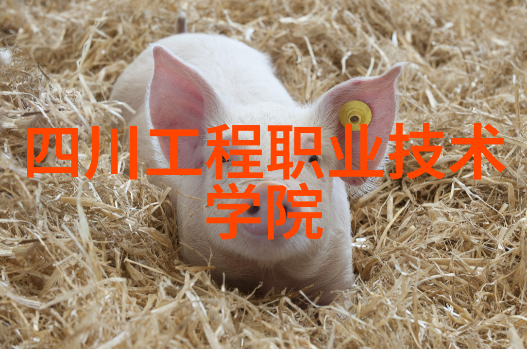 未来智界人工智能的无限可能