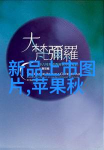 交通智能体返乡难吗春运路上能否展现通行无阻的英姿