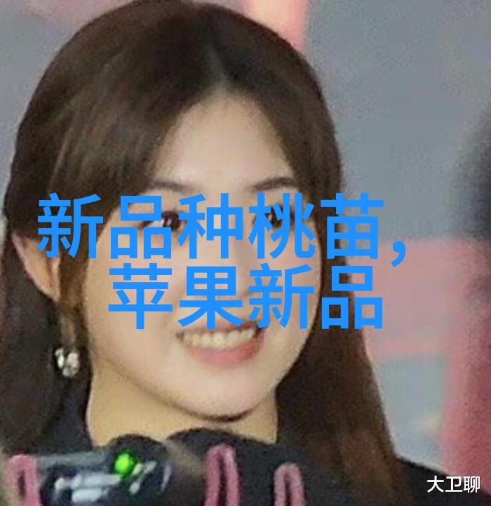 大型净水设备安装流程详解从规划到完工的全过程指南