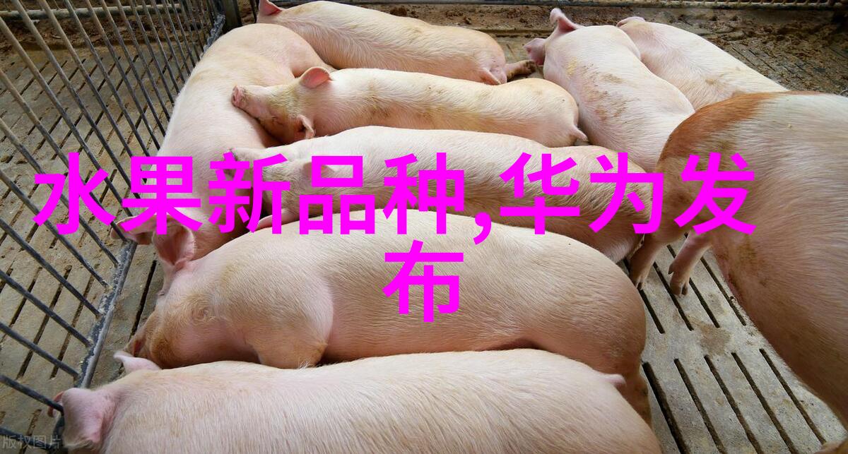 不锈钢的多样面从304到410探索不同类型的特性与应用