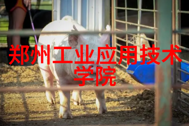 工业风扇我的工作伙伴在酷热的夏天