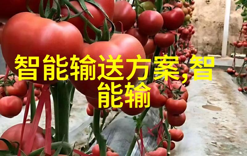 商用密码应用安全测评机构威刚25英寸超轻固态硬盘仅重50g那么它的性能又是如何呢