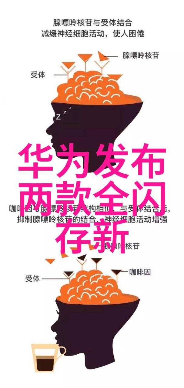 广西财经学院官网-探索金融智慧启航未来广西财经学院官网深度解析