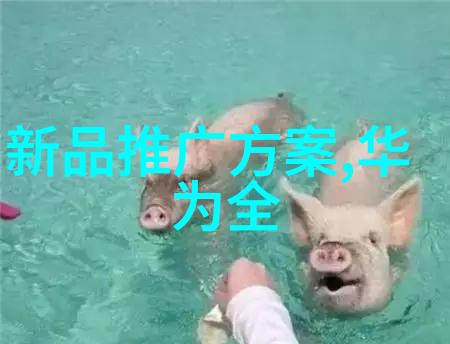 机遇与阴谋中国二手设备转让网的秘密交易