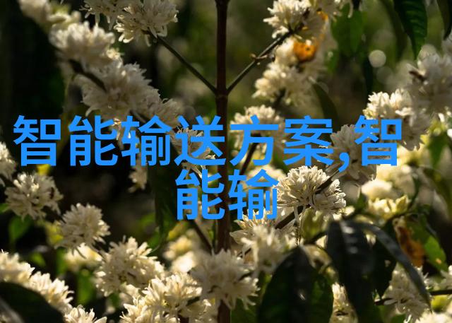 震撼优惠荣耀手表2仅需599元享受时尚与科技双重精彩