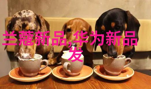 军事智能头盔-探索 世界上是否存在军事智能头盔