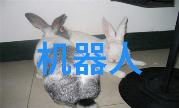 大连智慧出行系统构建新篇章智能交通网的未来发展方向探究
