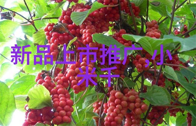 盖世战神征服世界的英雄传说