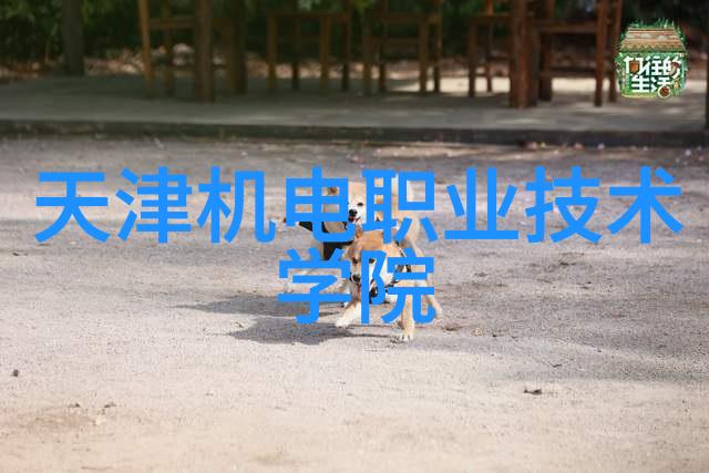 探索附近不锈钢的魅力从家居用品到工业应用的全方位解析