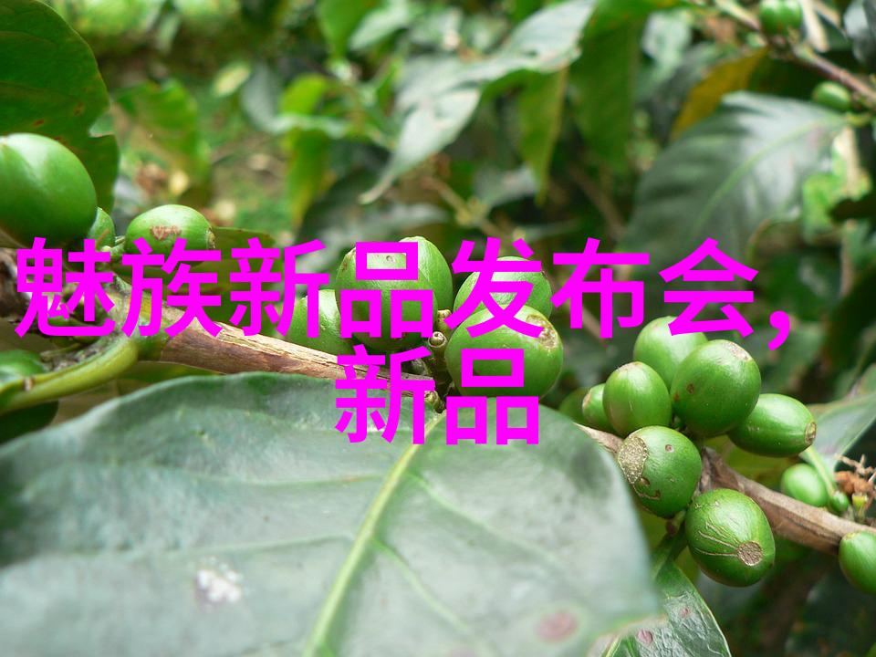 半导体芯片到底在做什么它们是如何让我们的电子设备聪明起来的
