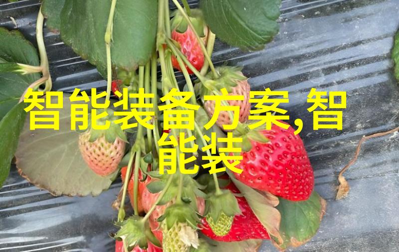 婚后试爱-婚后的试爱之旅情感探索与幸福重建