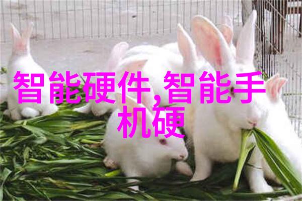 丝网波纹填料型号规格介绍