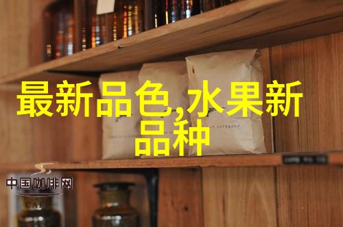财经智慧之光中央财经大学研究生学院的抽象之旅