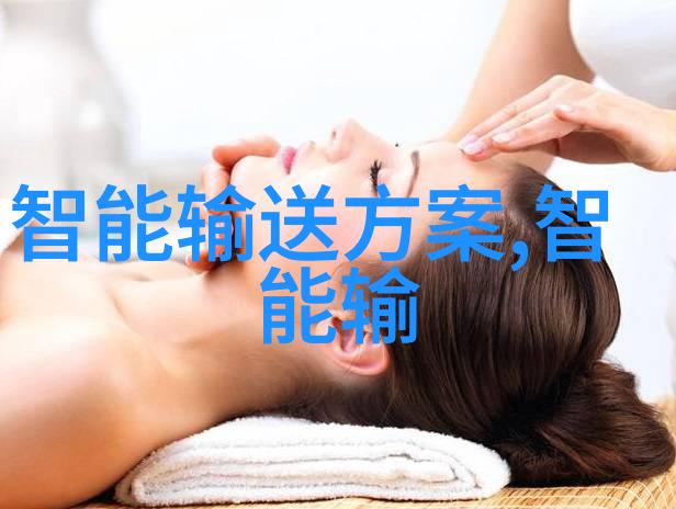 技术的关键在于其反应器设计深入探究结构示意图