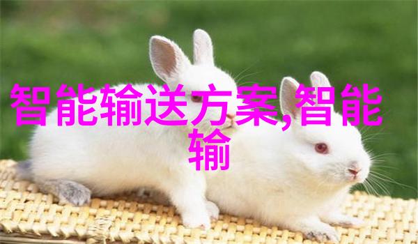我国芯片制造重大突破-国产芯片新里程碑技术创新与国际竞争力的提升