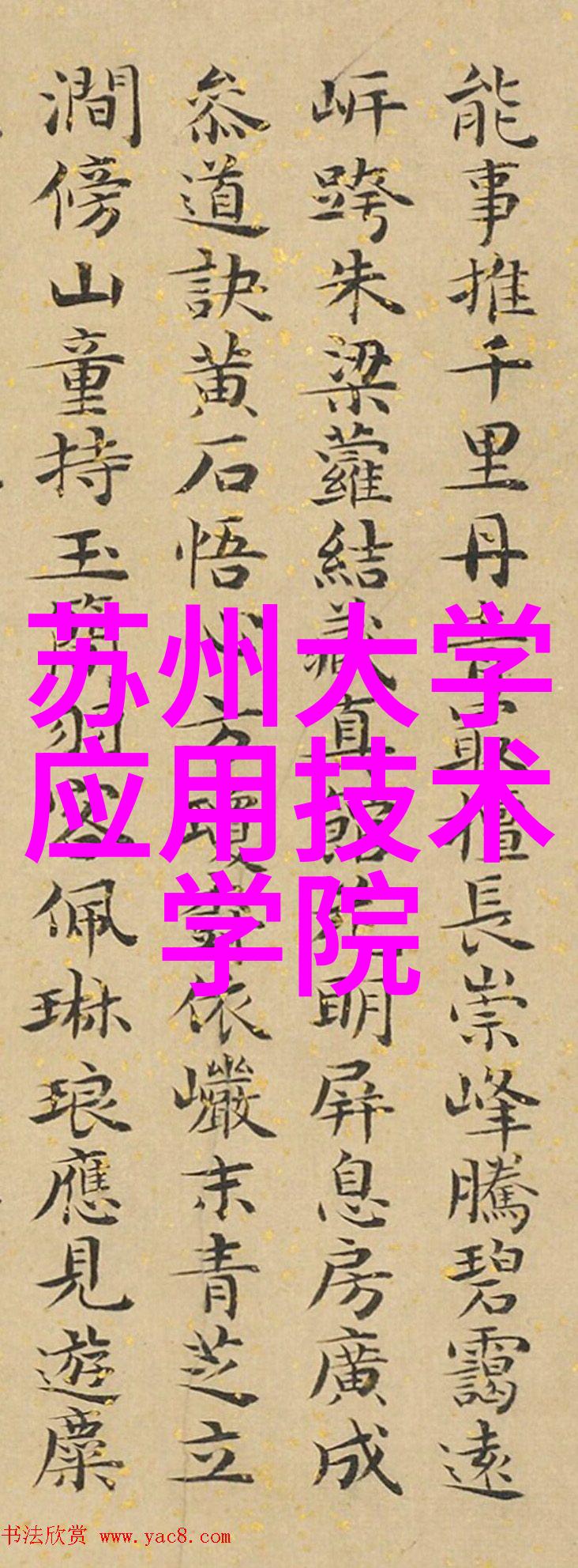 新一代磁电绝对值旋转编码器探索社会应用中的传感器多样性SSI通讯接口革新