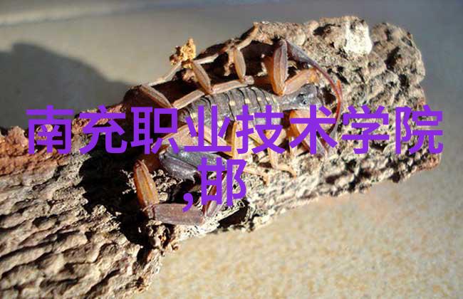 三相电多功能粉碎机我是小霸王帮你解决烹饪难题