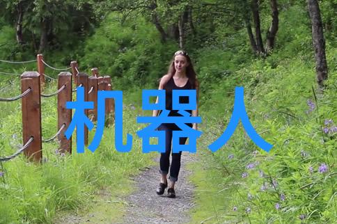 机械之眼视觉的隐喻
