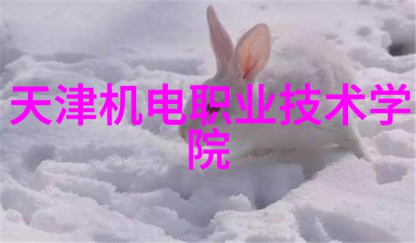 迟来深情 - 时光的礼物那些迟到的爱意与深沉的情感